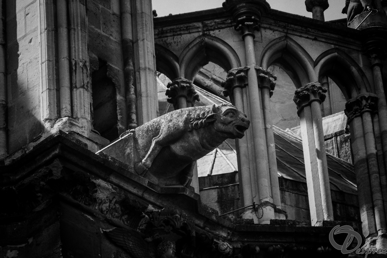 DSC03393-Modifier