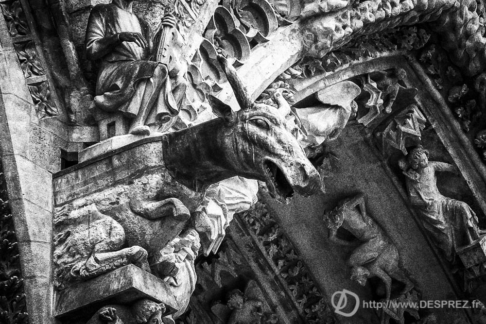 13 avril 2017DSC01557-Modifier