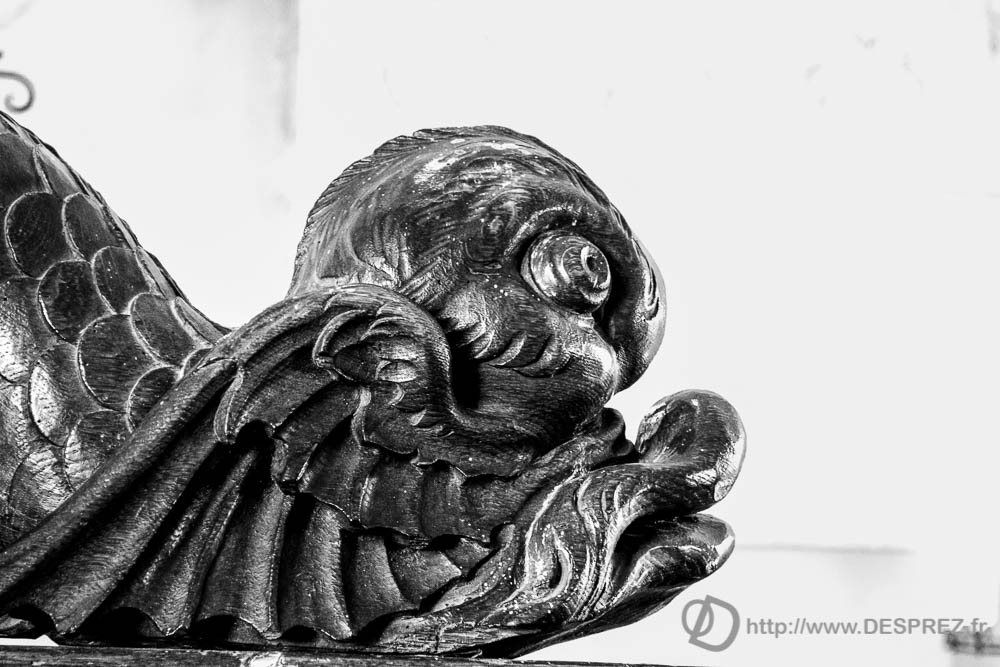 17 aout 2016DSC01302-Modifier-2