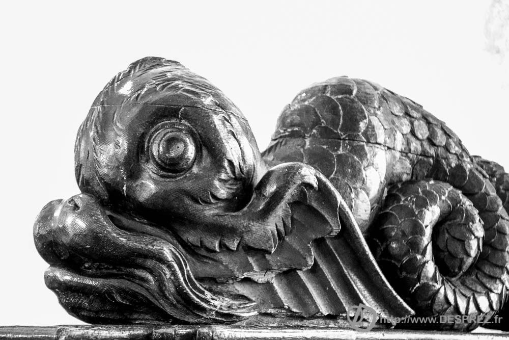 17 aout 2016DSC01303-Modifier