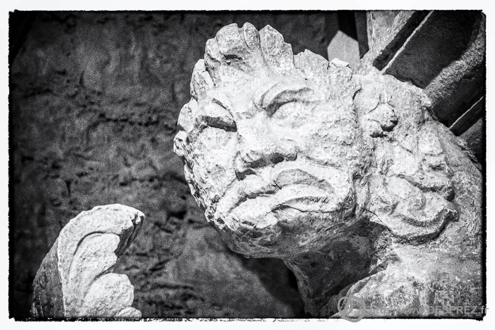 17 aout 2016DSC01310-Modifier