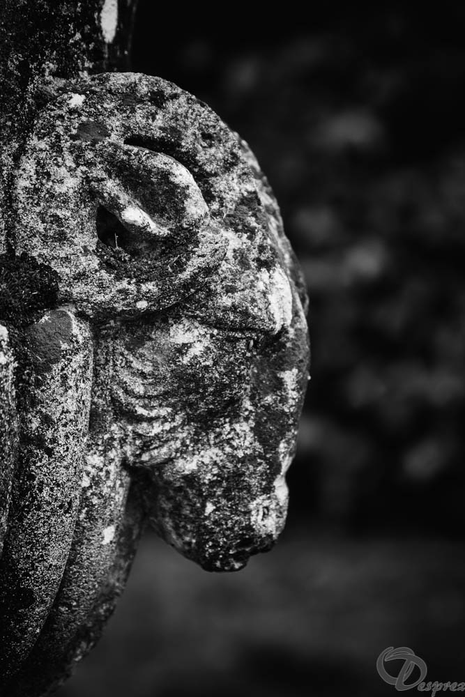 2019-aout-11-DSC08024-Modifier