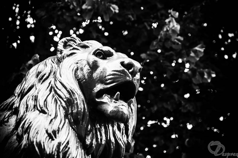 2019-aout-11-DSC08034-Modifier