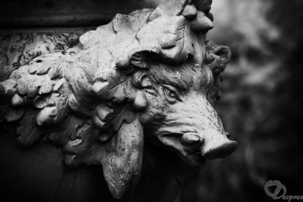 2019-aout-11-DSC08065-Modifier