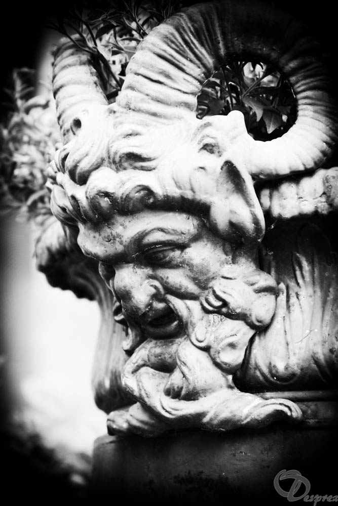 2019-aout-11-DSC08066-Modifier