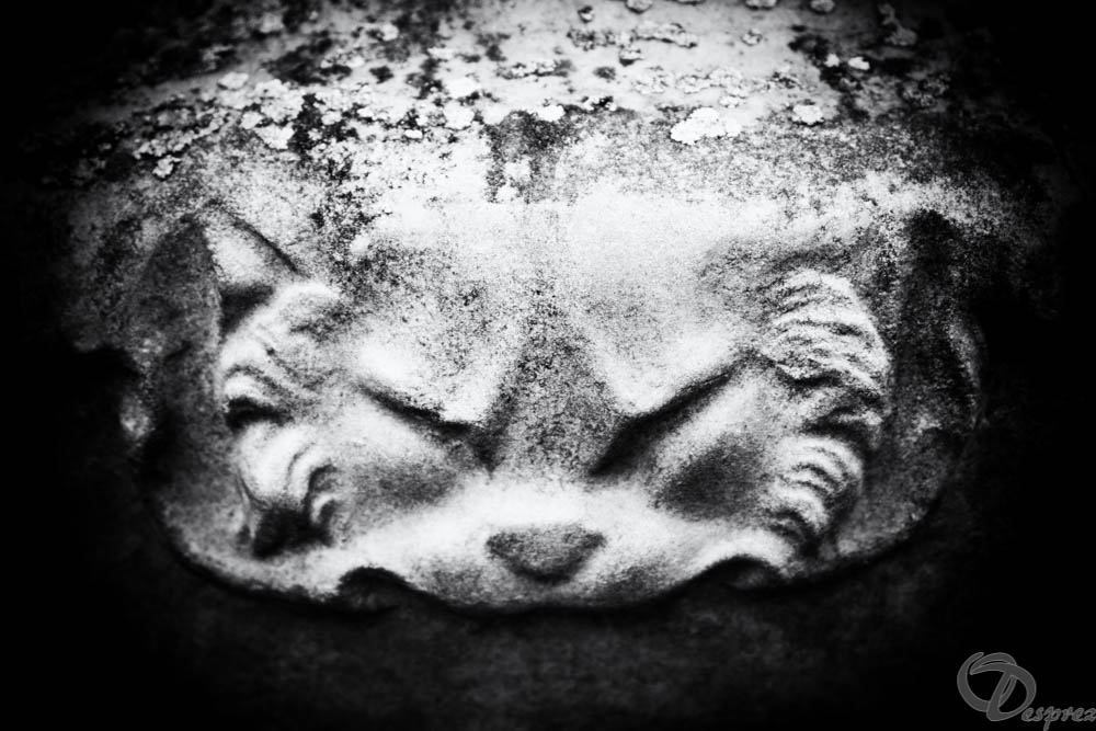 2019-aout-11-DSC08075-Modifier