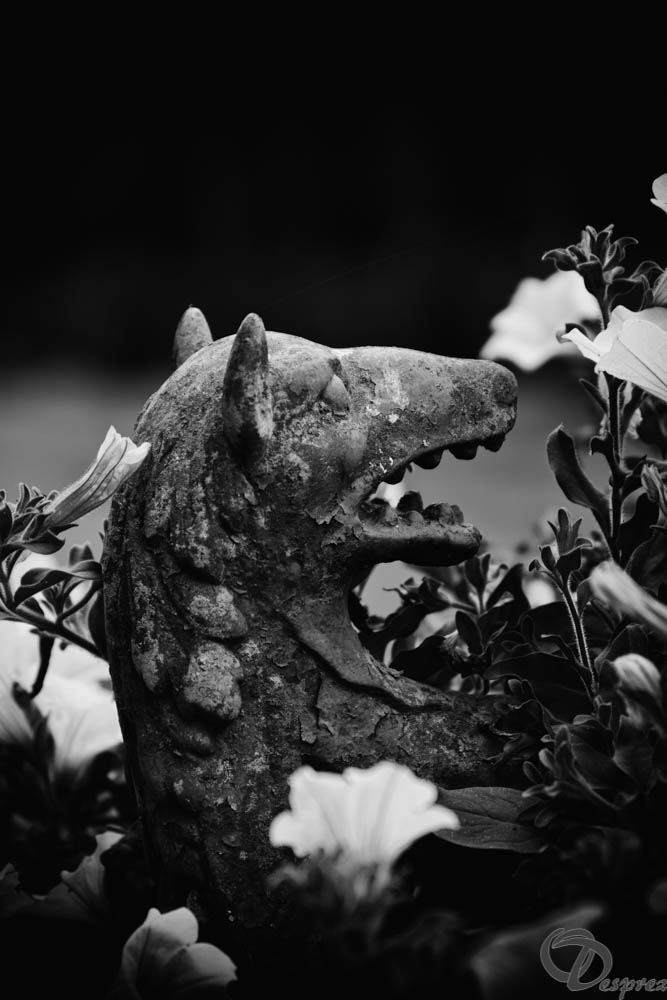 2019-aout-11-DSC08079-Modifier