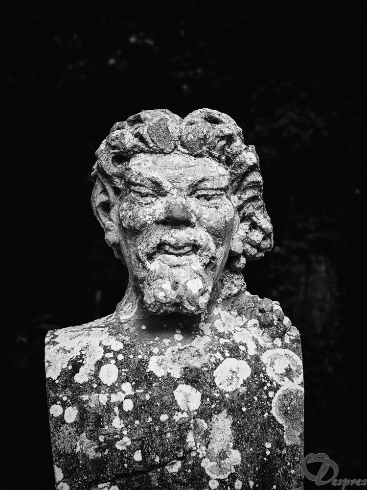 2019-aout-11-DSC08084-Modifier