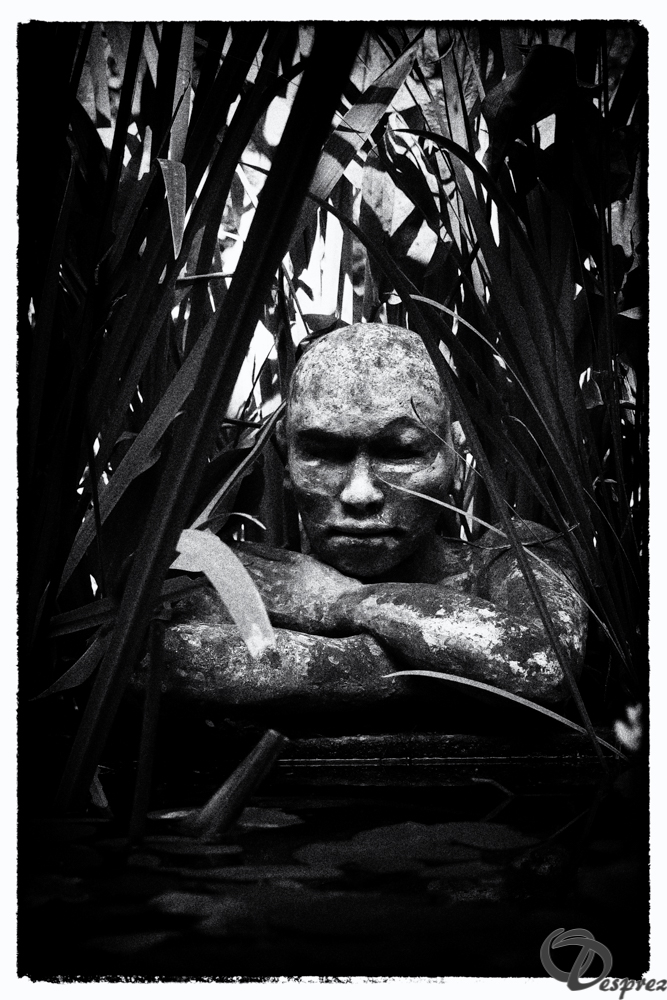 2019-aout-22-DSC08431-Modifier-Modifier