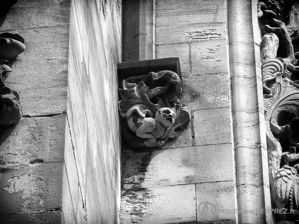 22 juillet 2016DSC00983-Modifier