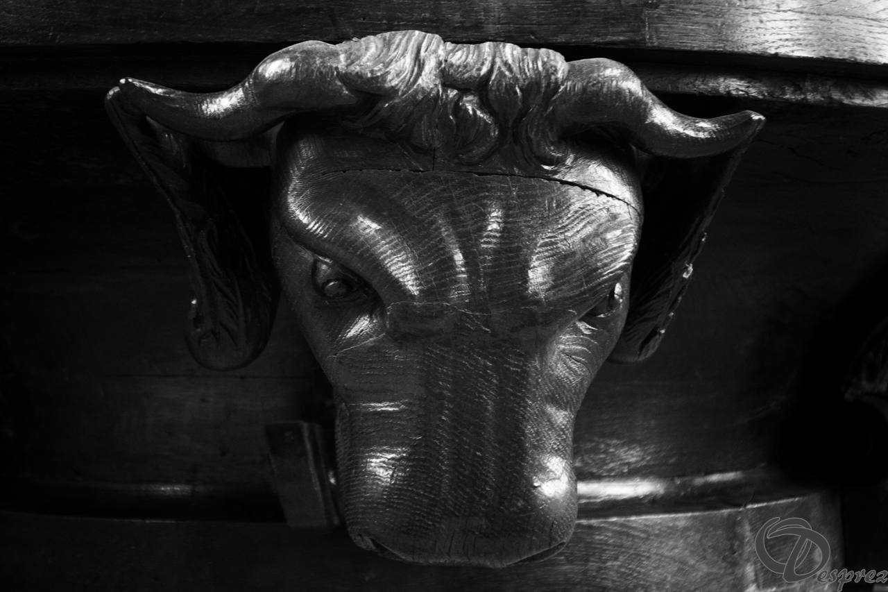 DSC03415-Modifier
