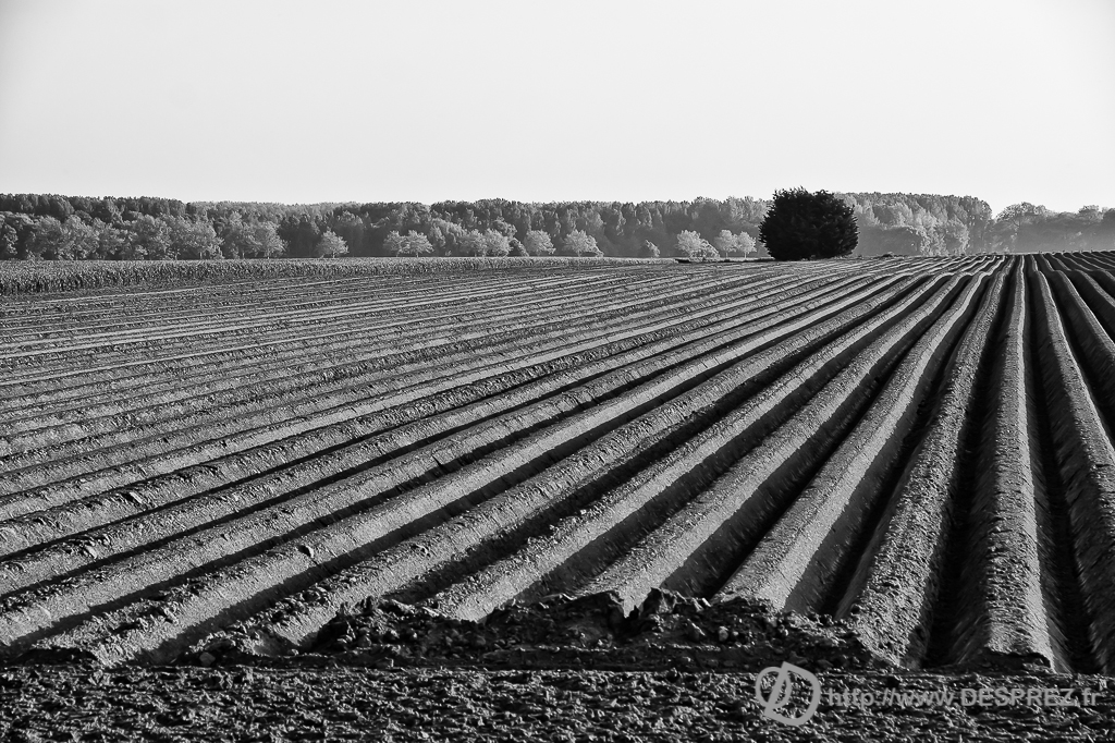 2014-02-24-DSC--2