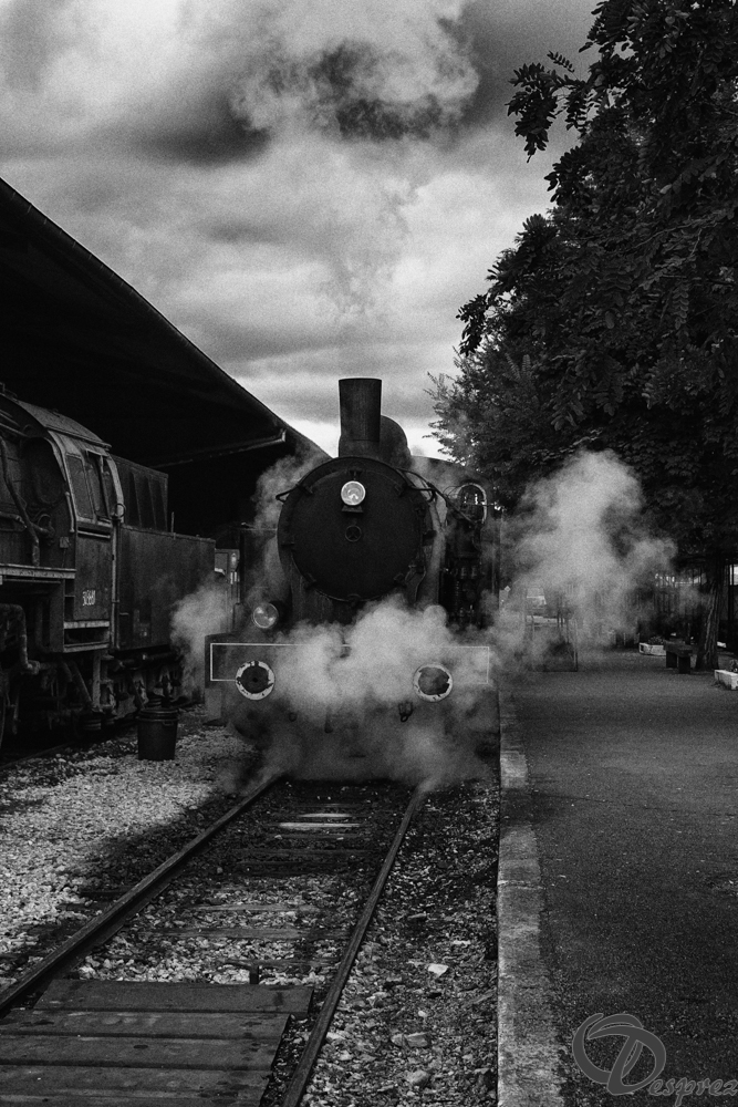 2021-août-16-DSC09321-Modifier