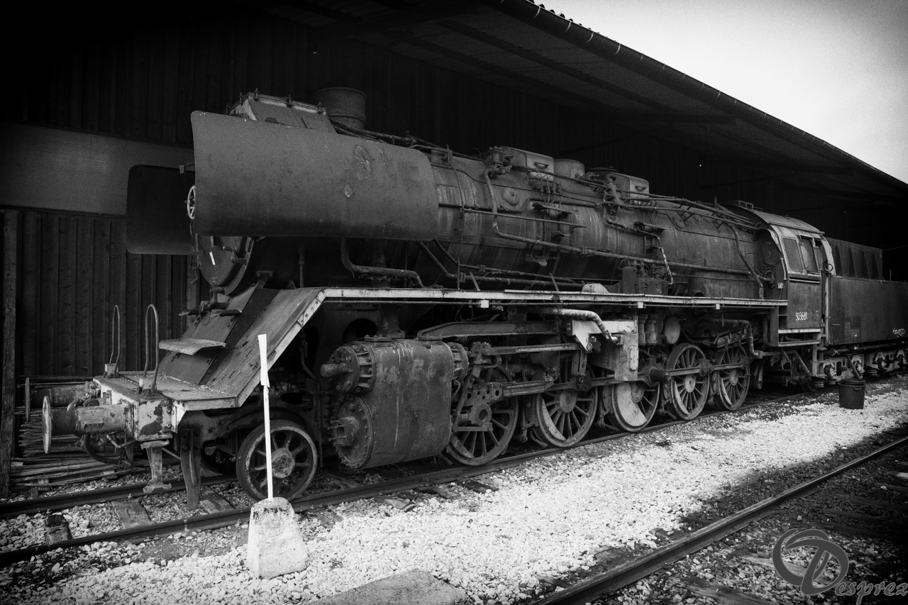 2021-août-16-DSC09326-Modifier