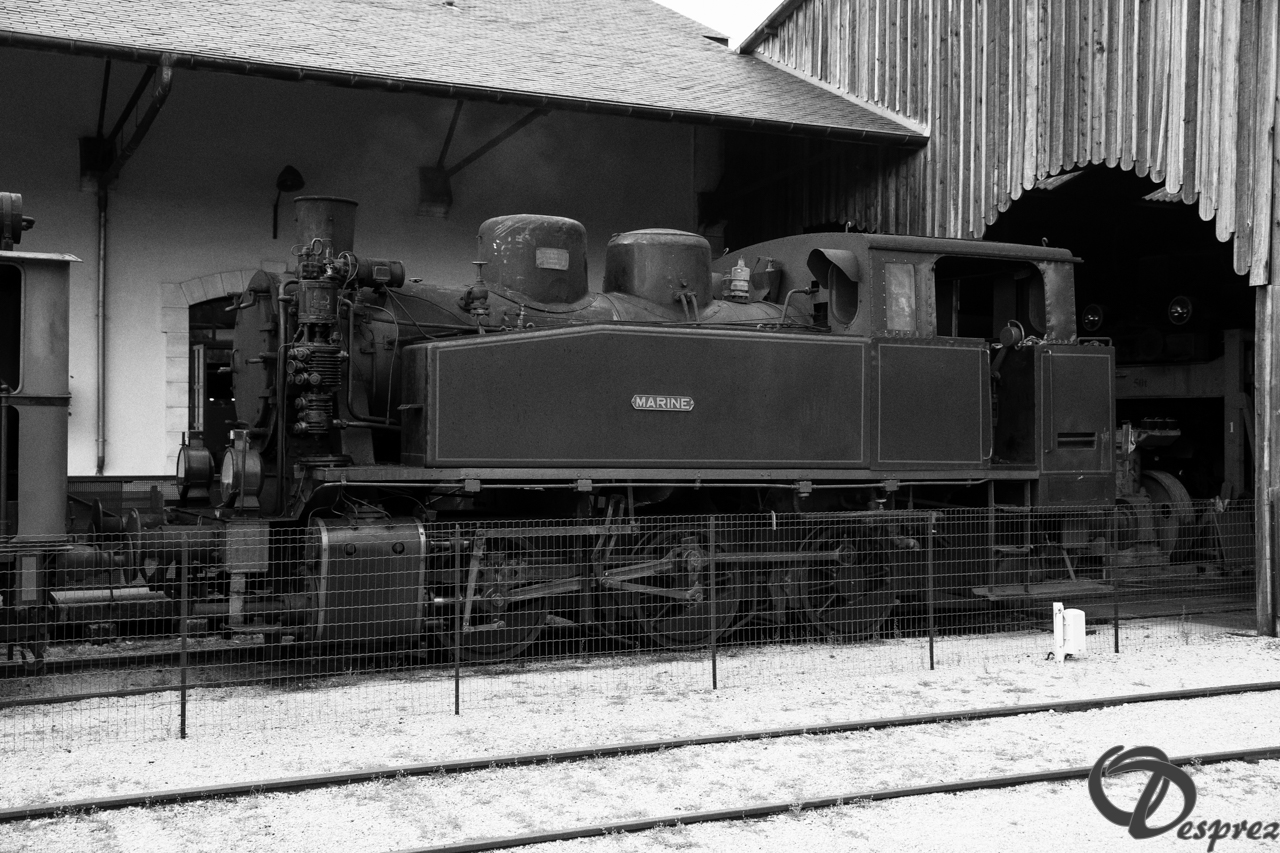 2021-août-16-DSC09328-Modifier