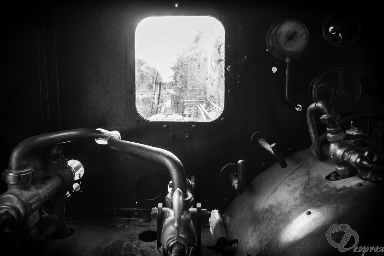 2021-août-16-DSC09339-Modifier