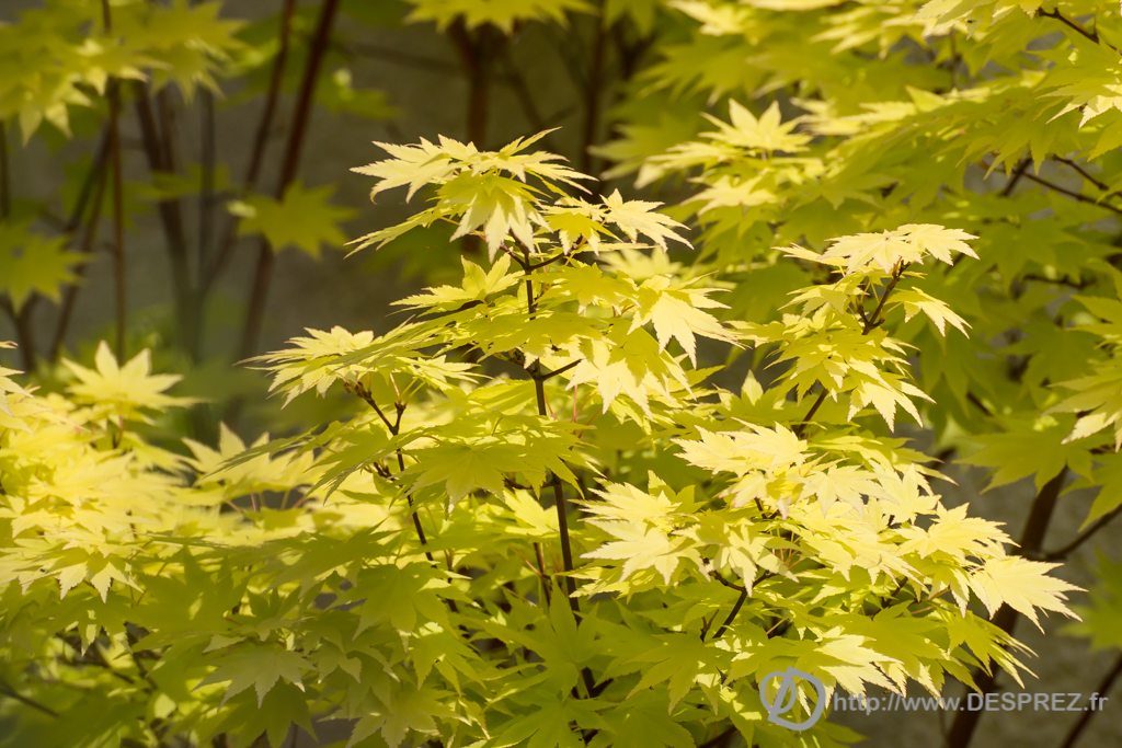 2014-02-24-DSC-01475