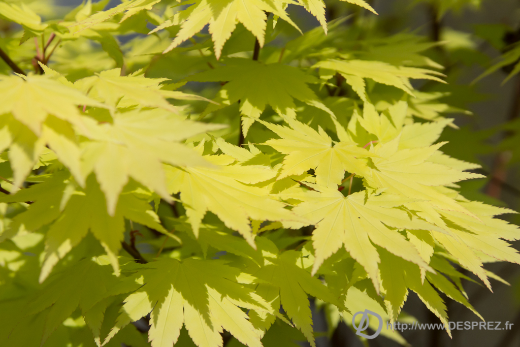 2014-02-24-DSC-04590