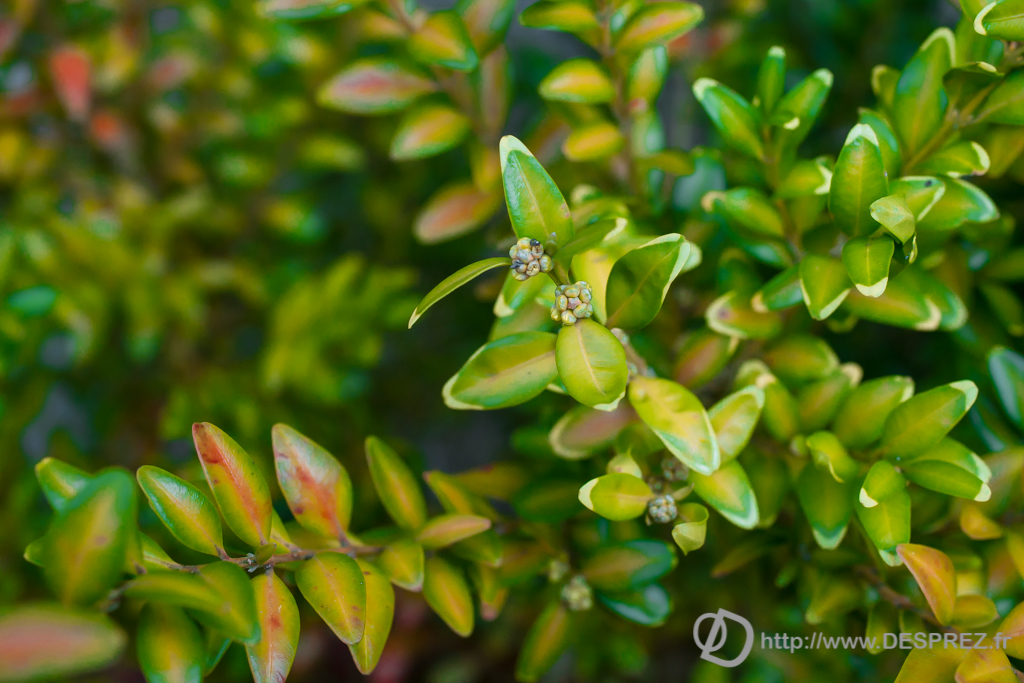 2014-02-24-DSC-01387