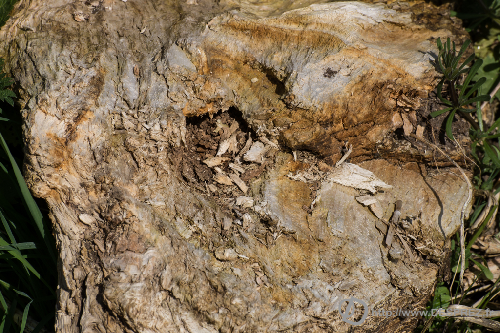 2014-02-24-DSC-01415