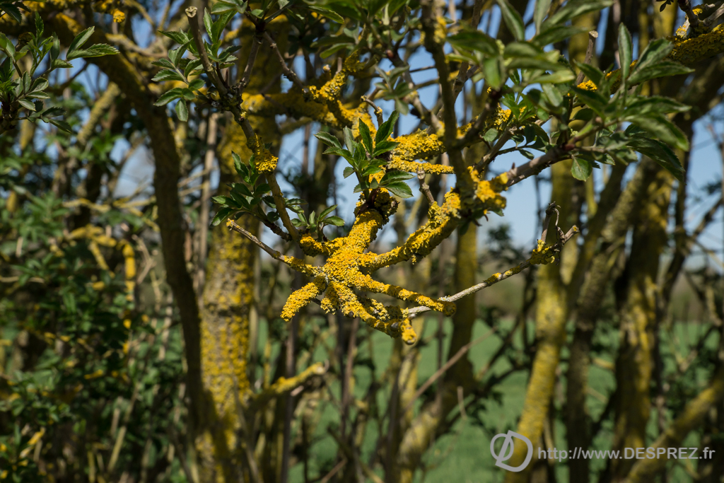 2014-02-24-DSC-01422