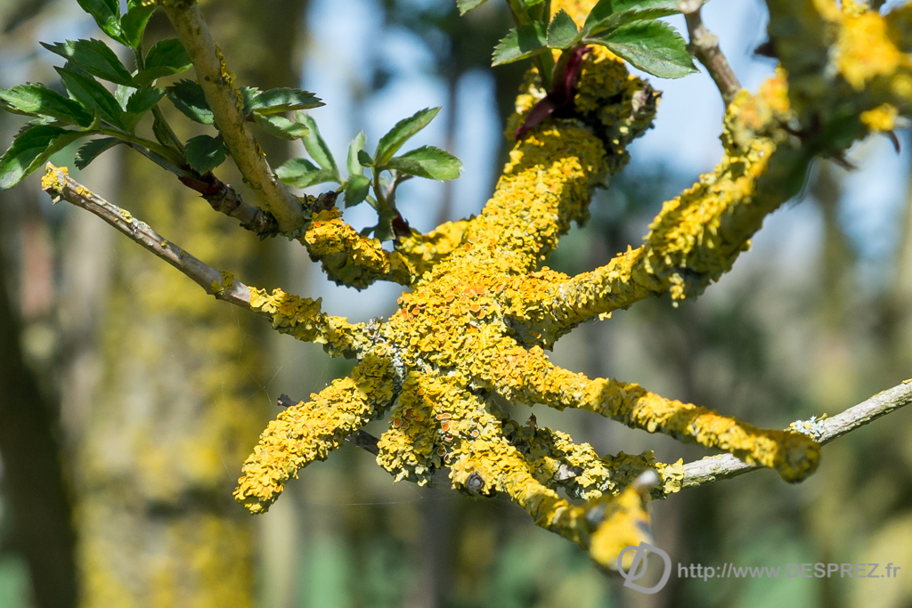 2014-02-24-DSC-01423