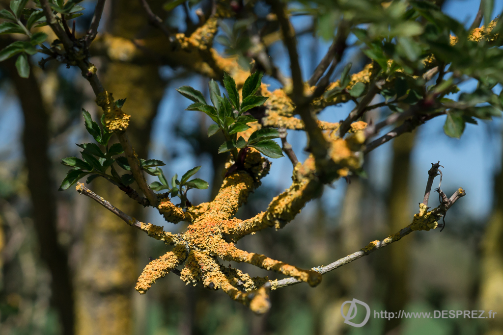 2014-02-24-DSC-01424