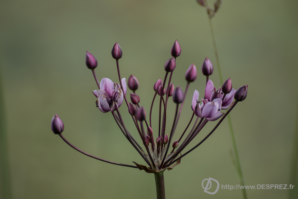 2014-02-24-DSC-00076