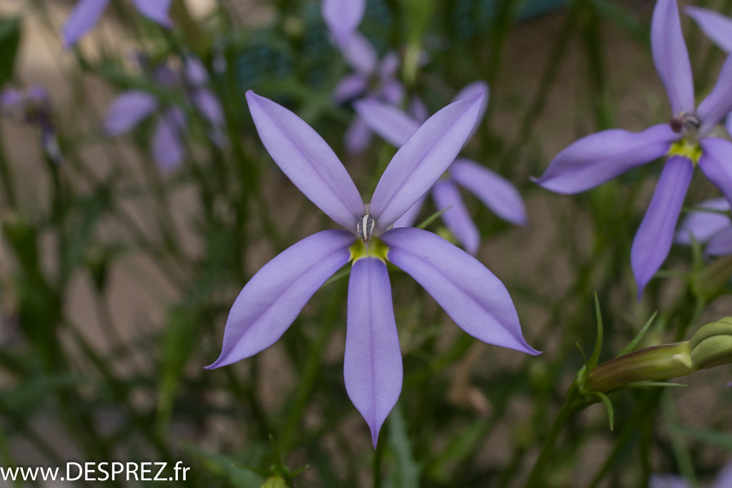 2014-02-24-DSC-00273