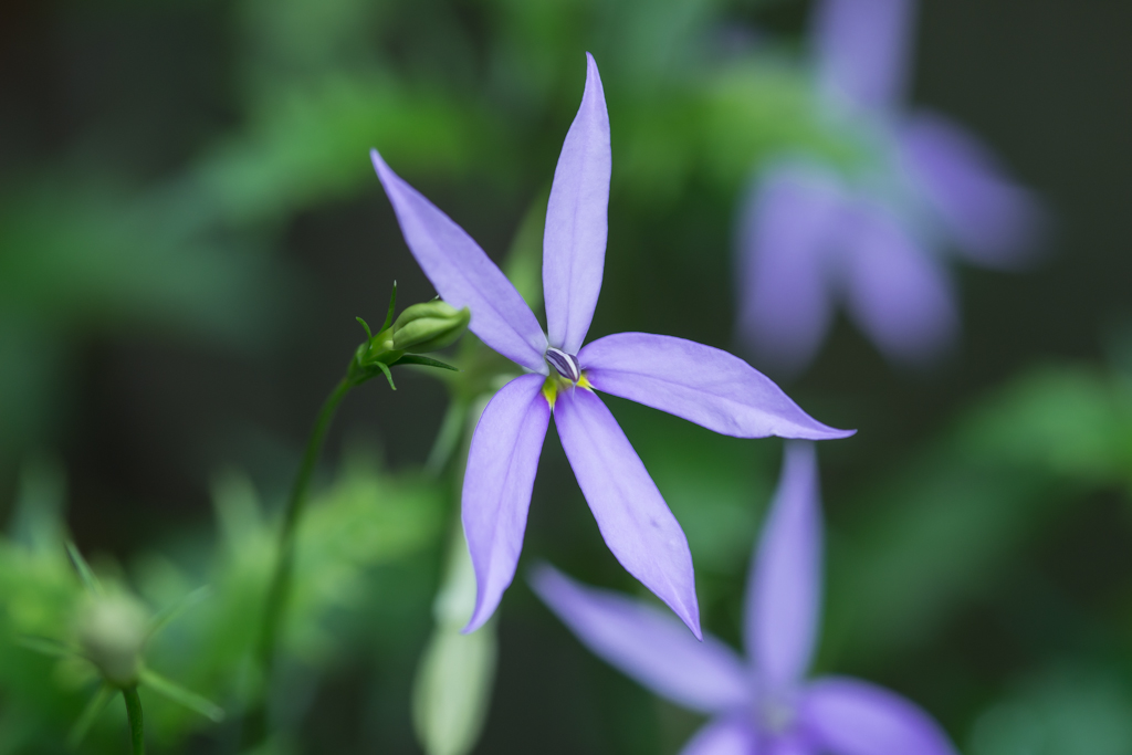 2014-02-24-DSC-00319