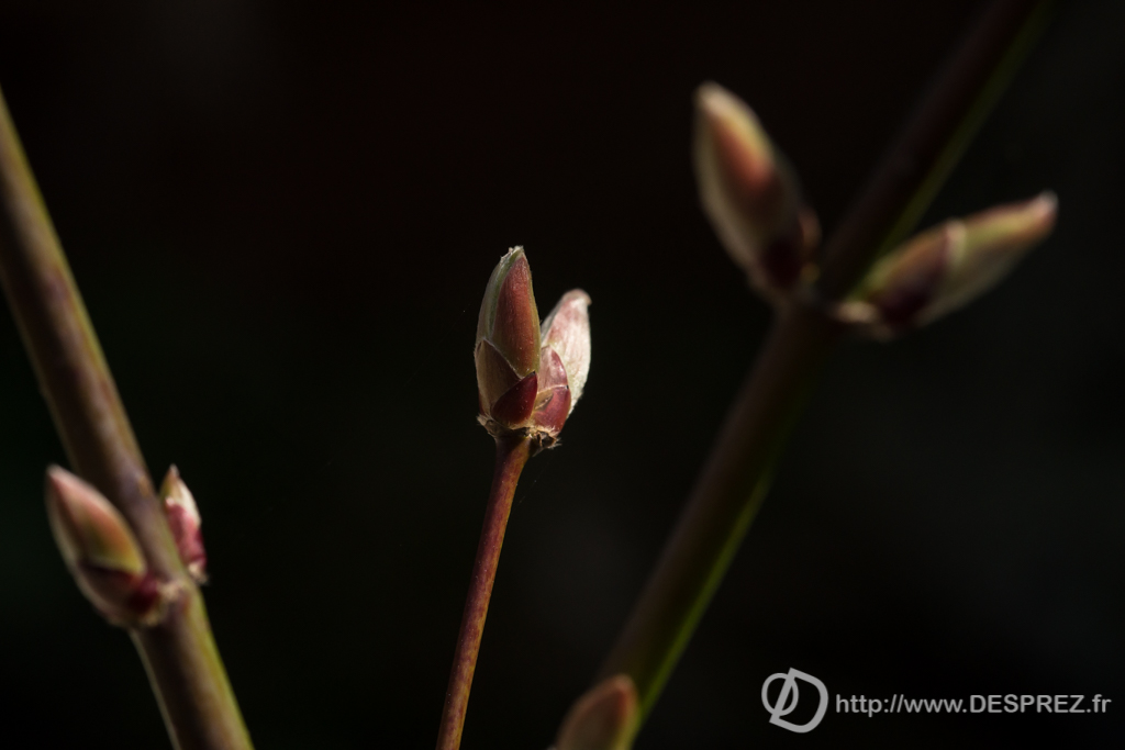 2014-02-24-DSC-01355