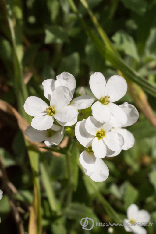 2014-02-24-DSC-01357