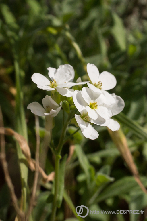 2014-02-24-DSC-01362