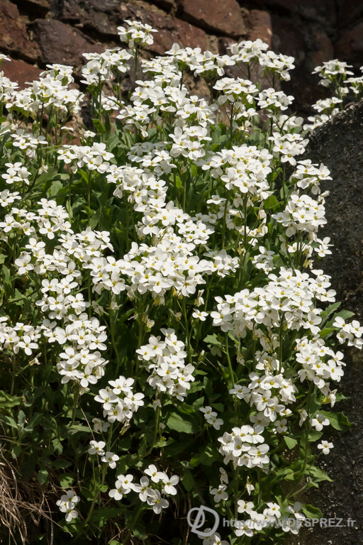 2014-02-24-DSC-01391