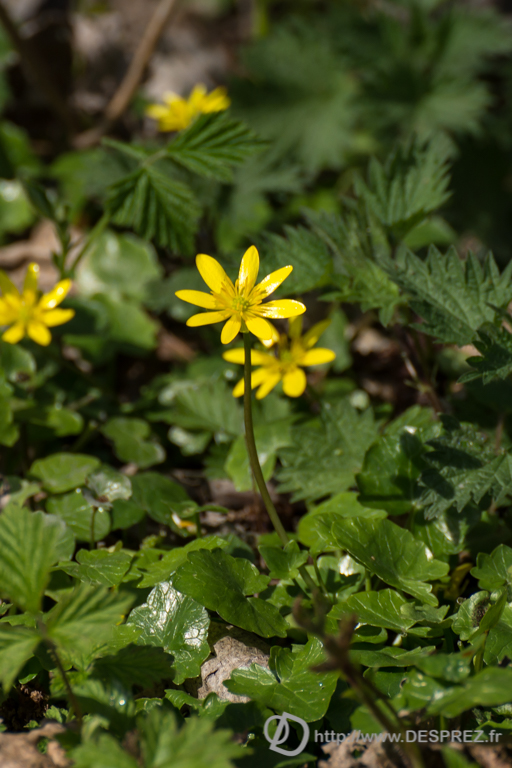 2014-02-24-DSC-01410