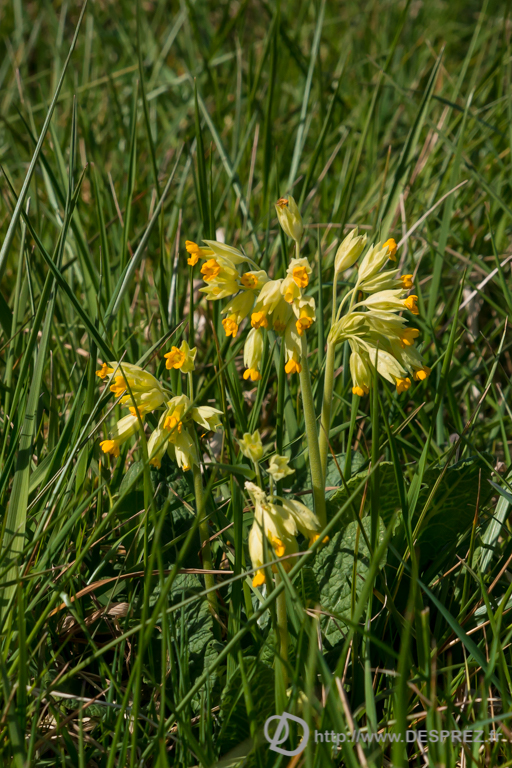 2014-02-24-DSC-01436