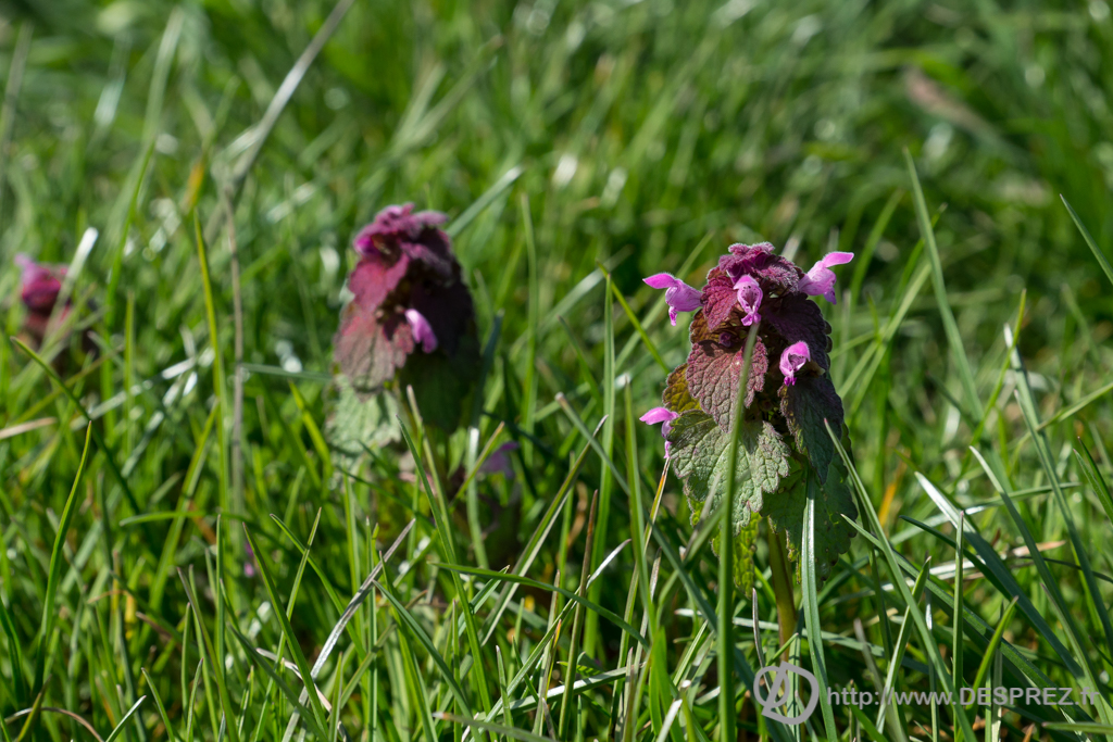 2014-02-24-DSC-01438