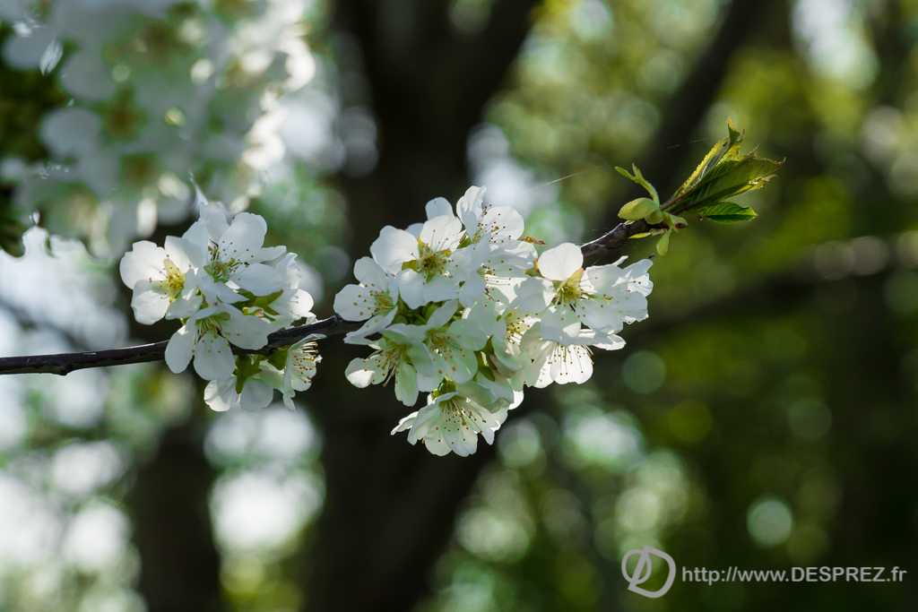 2014-02-24-DSC-01441