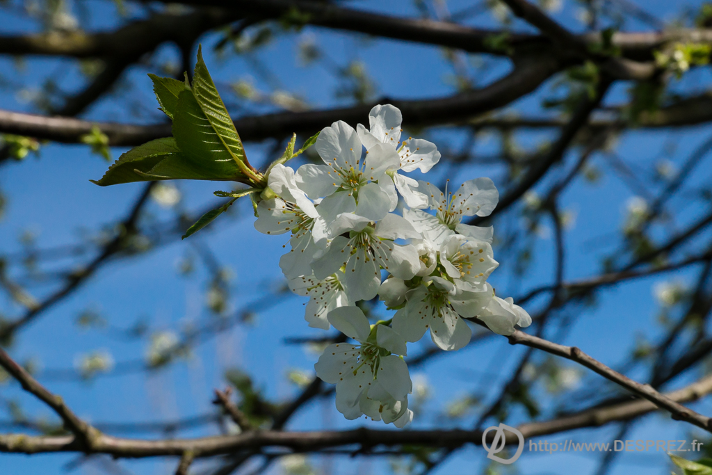 2014-02-24-DSC-01444