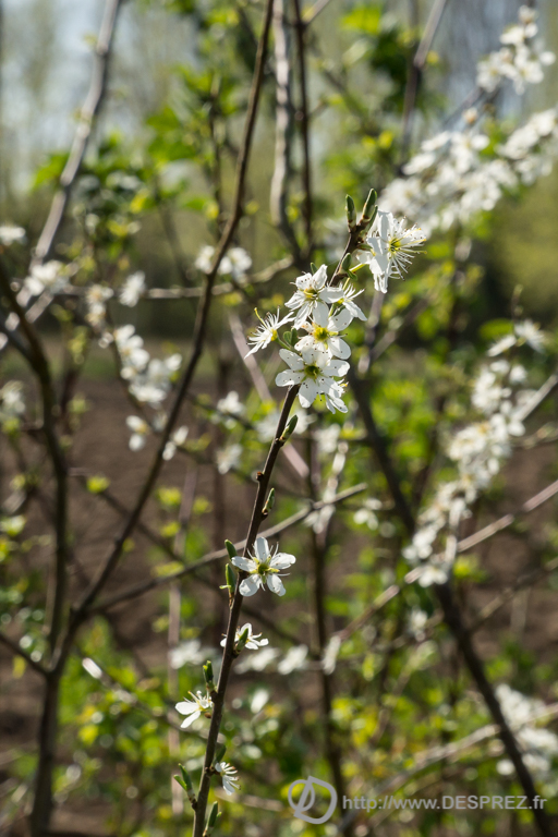 2014-02-24-DSC-01448