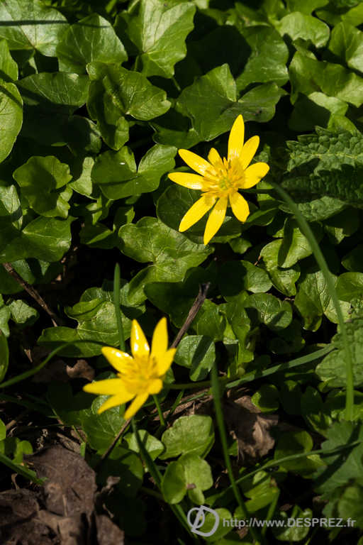 2014-02-24-DSC-01457