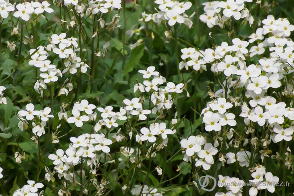 2014-02-24-DSC-04320