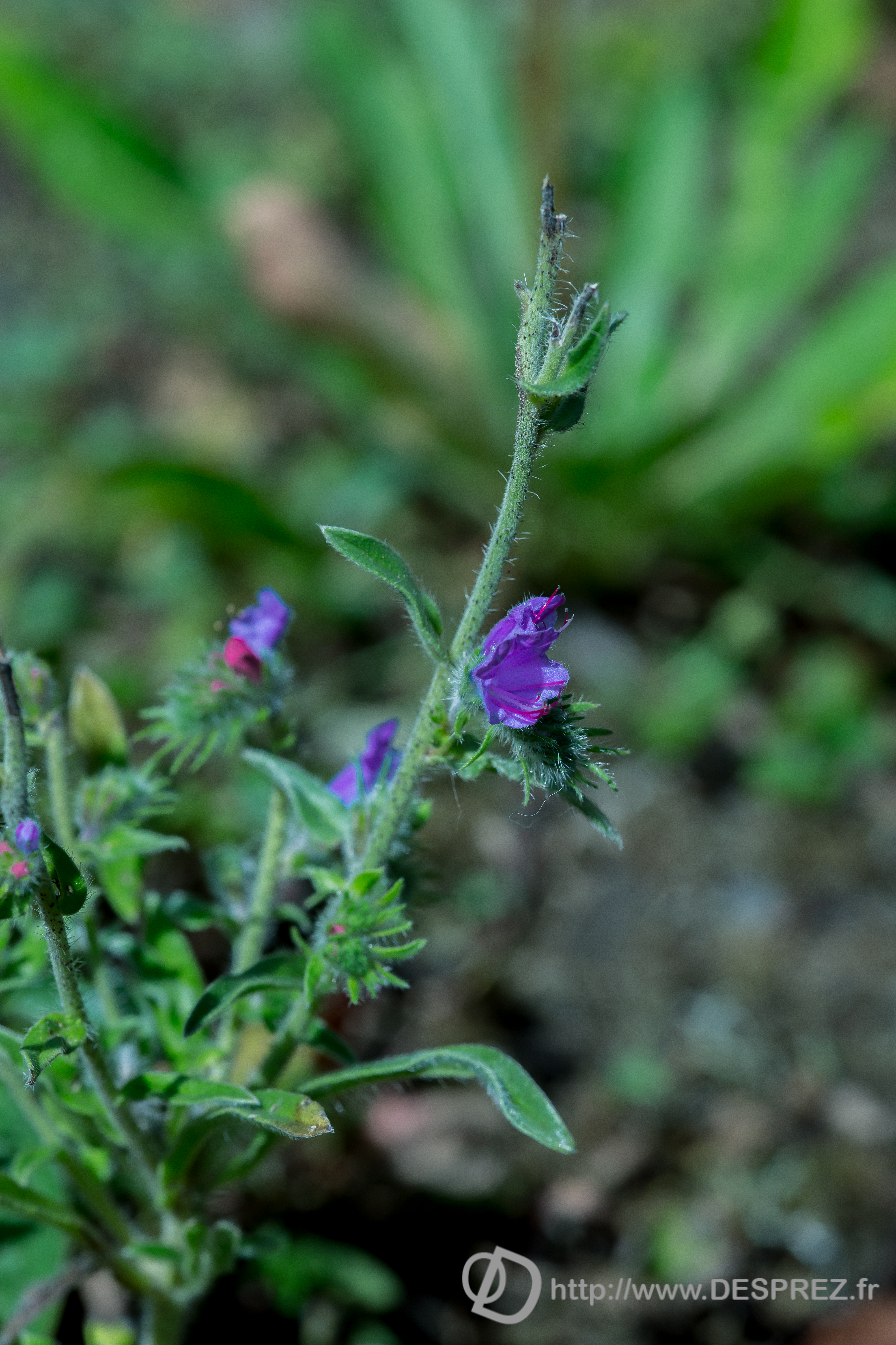 2015-07-29-02766