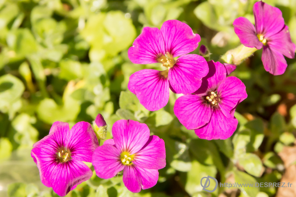 2014-02-24-DSC-04343