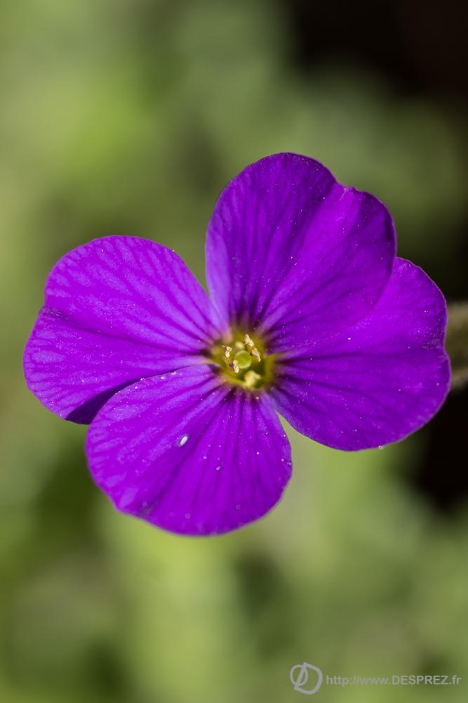 2019-04-17-DSC07367