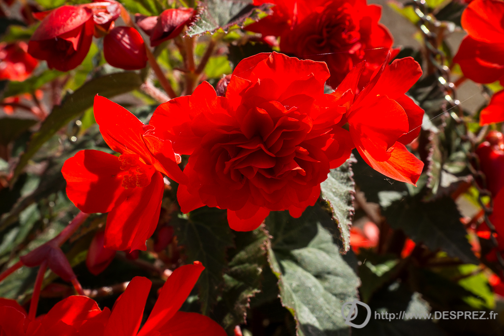 2014-02-24-DSC-00009