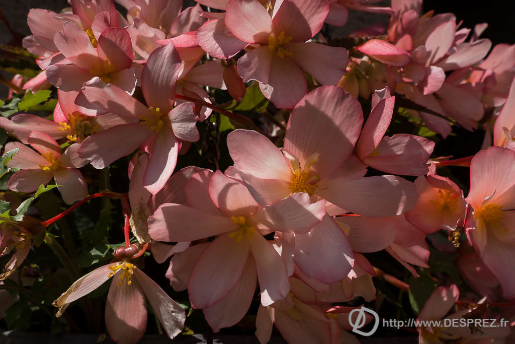 2014-02-24-DSC-00010