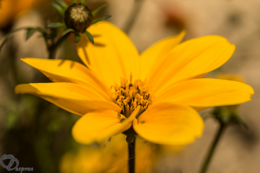 2019-05-31-DSC07583