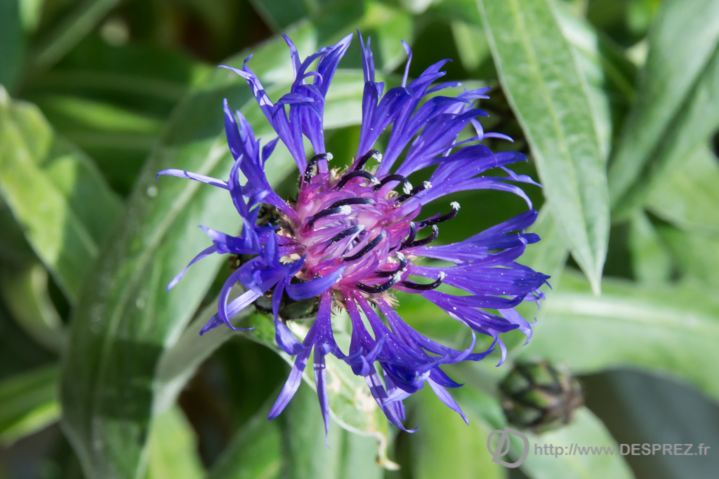 2014-02-24-DSC-04575