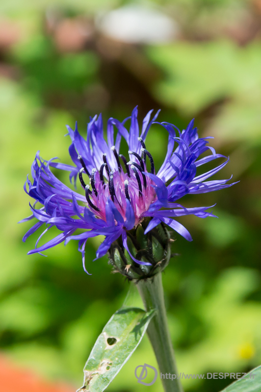 2014-02-24-DSC-04579